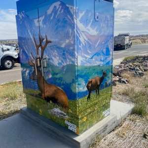 Utility Wrap - Elk (Corner of Hess and Tammy Lane) 