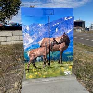 Utility Wrap - Elk (Corner of Hess and Tammy Lane) 