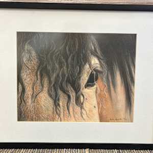Untitled, sepia toned horse head by Beth Appleton