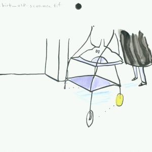 030-birt_018-scoo by Sarah Jane Lapp 