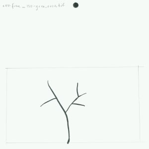 080-fun_150-gree (Plant growing) by Sarah Jane Lapp 