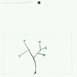 080-fun_150-gree (Plant growing) by Sarah Jane Lapp 