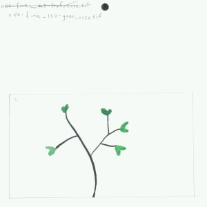 080-fun_150-gree (Plant growing) by Sarah Jane Lapp 