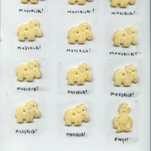 Animal Crackers by Sarah Jane Lapp 