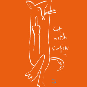 Cat With Curfew Orange by Sarah Jane Lapp