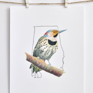 State Bird of Alabama: Northern Flicker (aka the Yellowhammer) by Sam Brunson