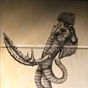 Alexis Diaz (Puerto Rico) by Alexis Diaz 