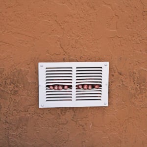 Dan Witz (USA) by Dan Witz 