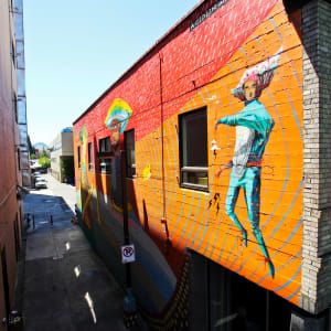 Acidum Project (Brazil) by Acidum Project 