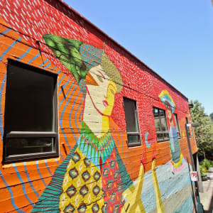 Acidum Project (Brazil) by Acidum Project