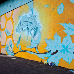 Steven Lopez (USA) by Steven Lopez 