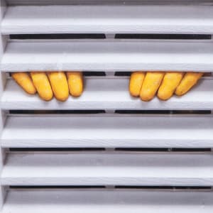 Dan Witz (USA) by Dan Witz 
