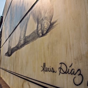 Alexis Diaz (Puerto Rico) by Alexis Diaz 