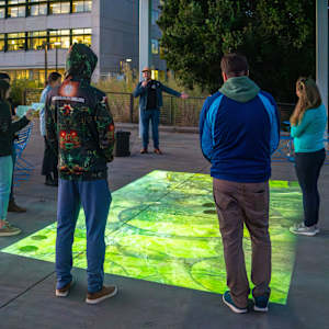 Biology Rising by Julie Anderson Bailey, Eric Braman 