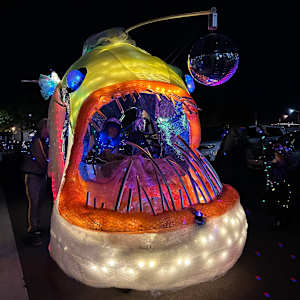 Lure Me Home by Wilding Collaborative Arts, Image 5.