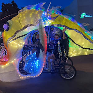 Lure Me Home by Wilding Collaborative Arts, Image 1.