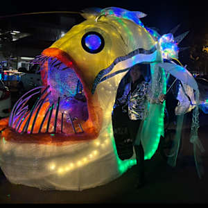 Lure Me Home by Wilding Collaborative Arts, Image 4.