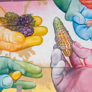 Centuries of Harvest by Jean Bradbury 