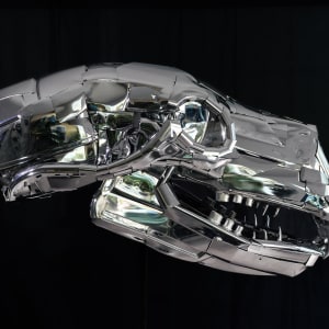 Otso - Black Bear Skull by Jud Turner
