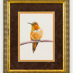 Rufous the Curious by Kathleen Cremonesi