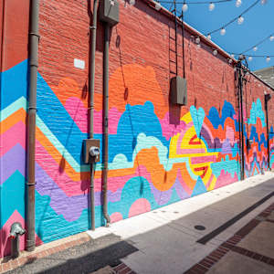 Radically Radiant by Wayde Love  Image: Third Phase