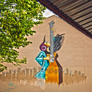 Shamsia Hassani (Afghanistan) by Shamsia Hassani
