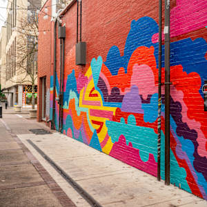 Radically Radiant by Wayde Love  Image: Third Phase