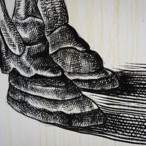 Alexis Diaz (Puerto Rico) by Alexis Diaz 