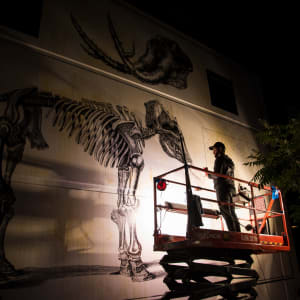 Alexis Diaz (Puerto Rico) by Alexis Diaz 