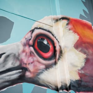 Bayne Gardner (USA) by Bayne Gardner 