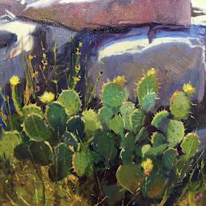 Cactus Amongst Granite by Rusty Jones