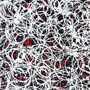 Observed by Saverio Francesco Ferrulli