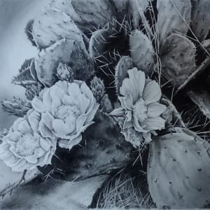 The Desert Rose by Lori Jones