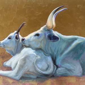 Sacred Cows by Michelle Philip