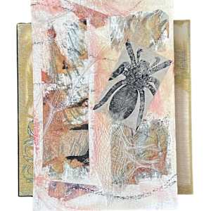 Her Web by Marianne Mullen