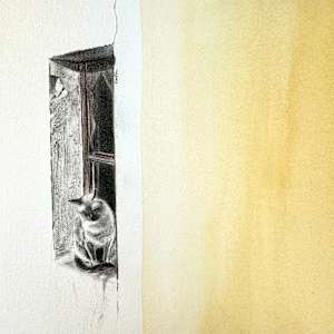 Cat on Windowsill by Emese Cuth