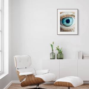 Beyond the blue by Elodie PALFER-SOLLIER 
