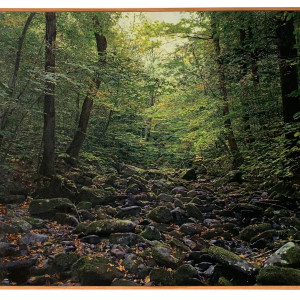 Black Brook, Balsam Lake Mountain Wild Forest, Ulster County, New York by Mark Tribe Studio 