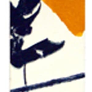 NATURE’S REMNANTS 1 by John Avakian