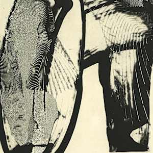 Last One Standing by Dorothea Van Camp 