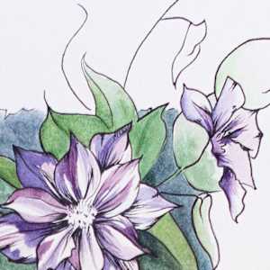 Untamed Clematis by Cara Beaudette 