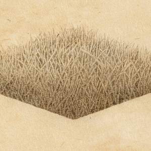 Hill/Hole Diamond Hole #2 by Meg Alexander 