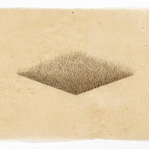 Hill/Hole Diamond Hole #2 by Meg Alexander 