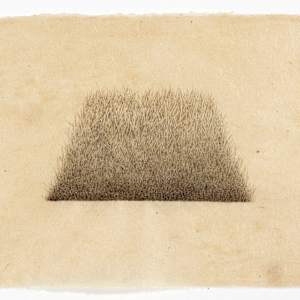 Hill/Hole Trapezoid Hole #2 by Meg Alexander 