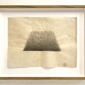 Hill/Hole Trapezoid Hole #2 by Meg Alexander