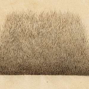 Hill/Hole Trapezoid Hole #2 by Meg Alexander 