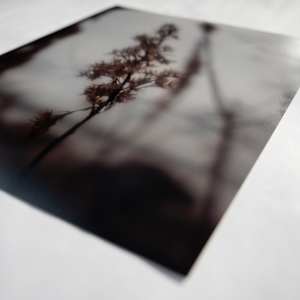 Blurry by the River by Eve Sage Holzman 