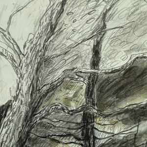 Blustery dusk, Walpole, MA. by Emily Vickers 