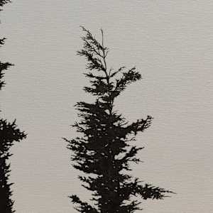 Together But Still Alone by Lior Neiger 