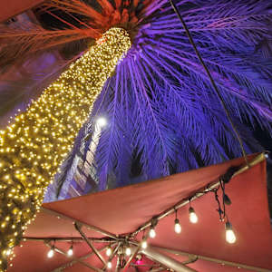 Pequena Habana by Dolores Anoli